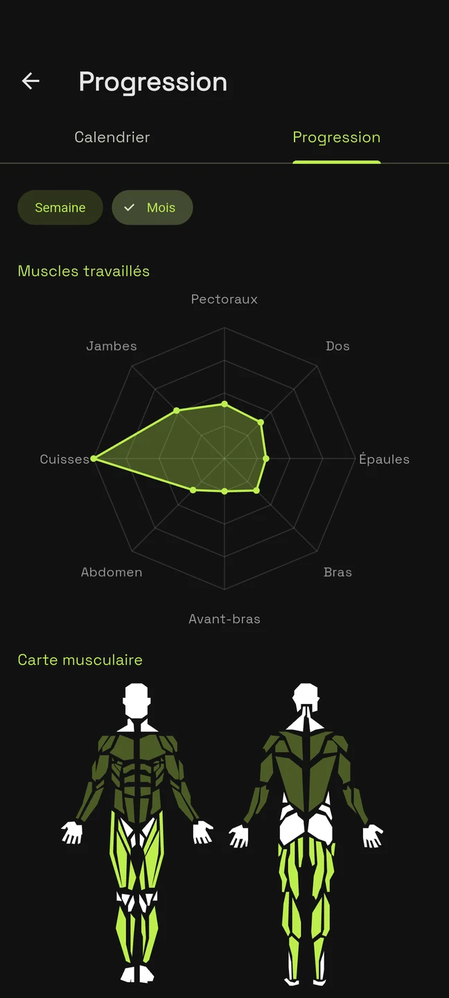 Progrès : graphique des muscles travaillés et carte musculaire